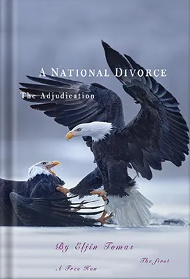 A-National-Divorce-2021 by Falcon Book Publishers
